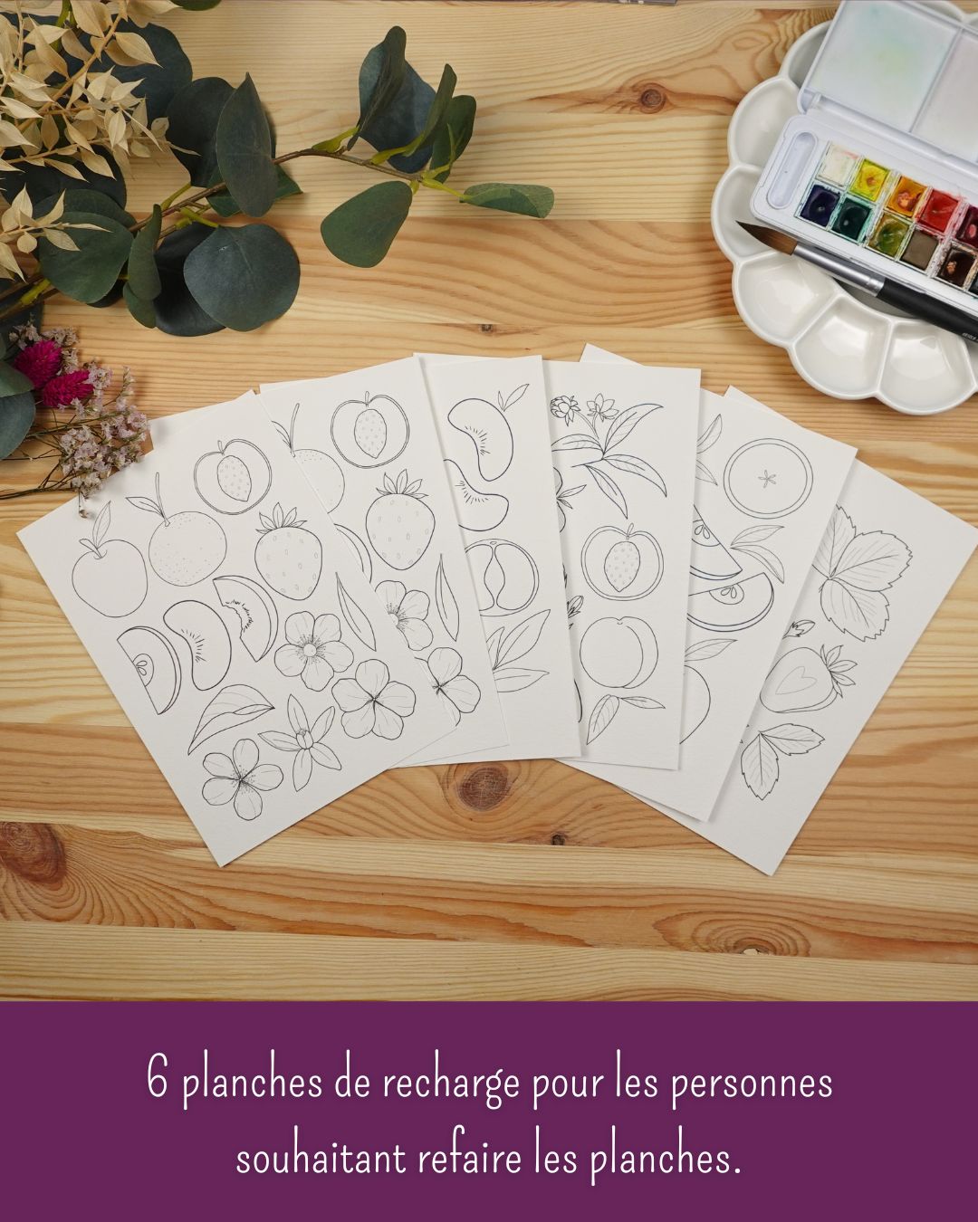 recharge d'illustration pré-tracées sur papier aquarelle de la marque planète aquarelle
