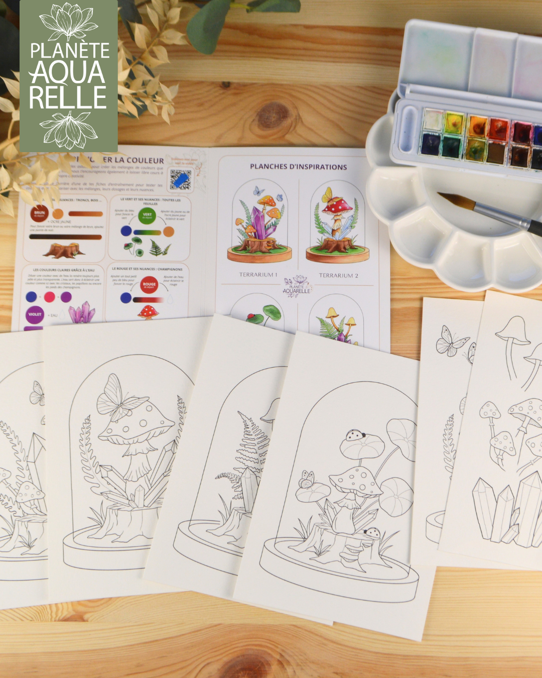 kit-aquarelle-terrarium-debutant-6-planches-illustree-a-peindre-a-l-aquarelle-idee-cadeau-creatif-2026
