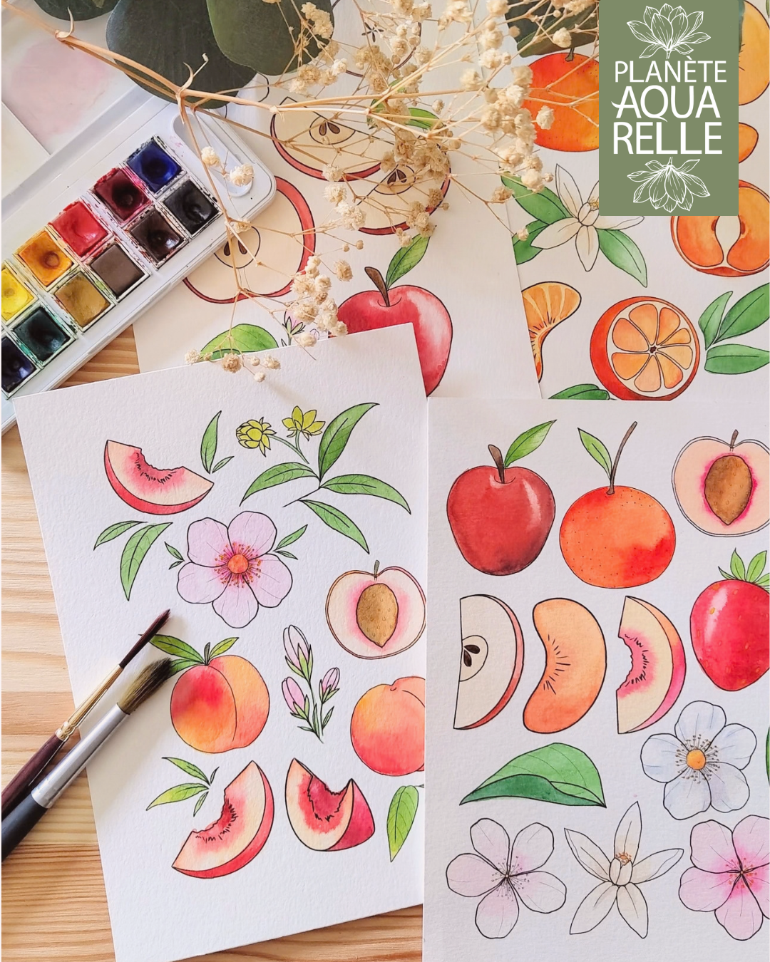 kit aquarelle pré-tracée à peindre - Planète Aquarelle
