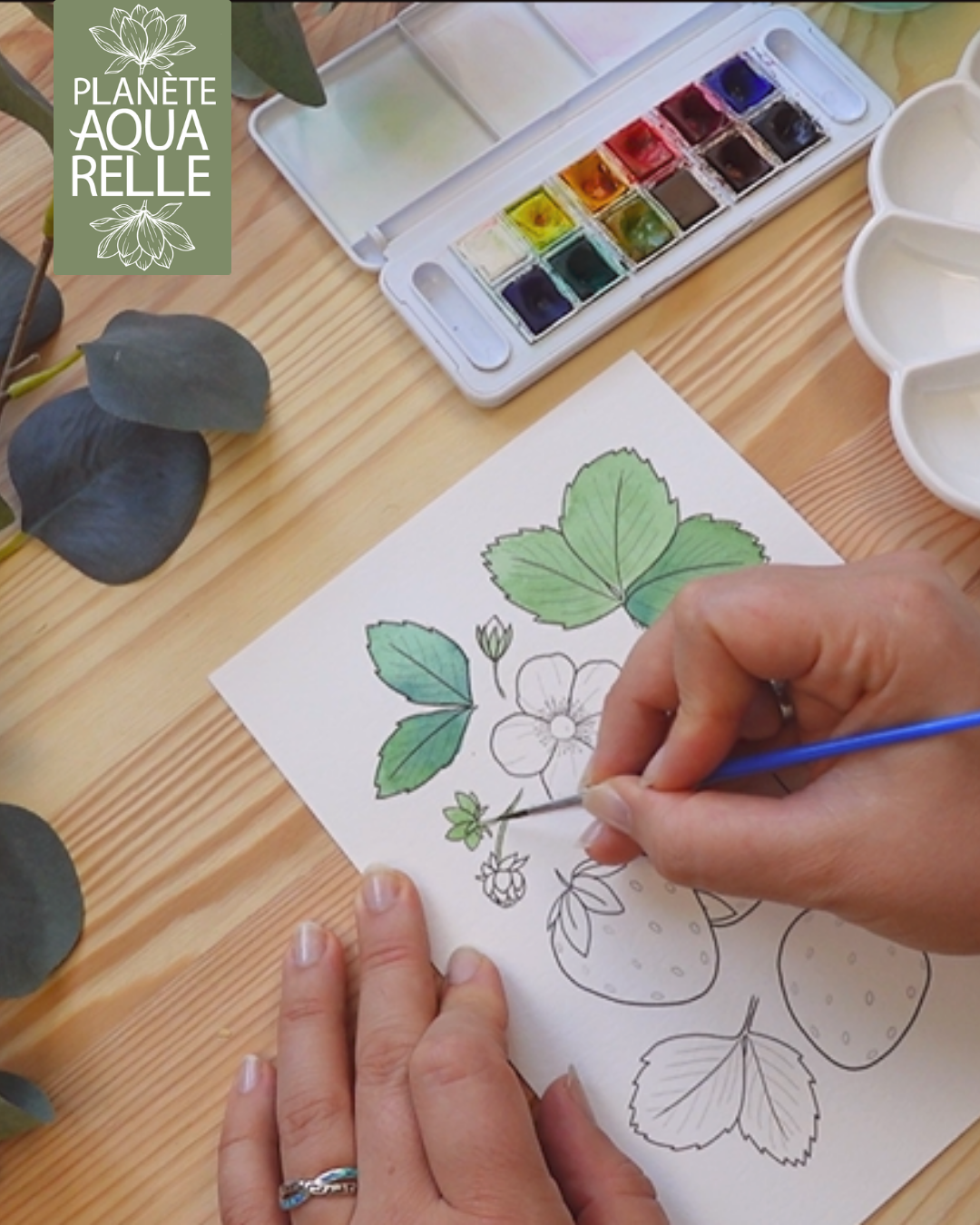 kit aquarelle pré-tracée à peindre pour débutant et amateurs d'aquarelle avec Planète Aquarelle